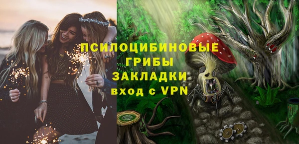 PSILOCYBIN Шали