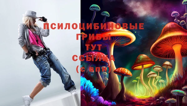PSILOCYBIN Шали
