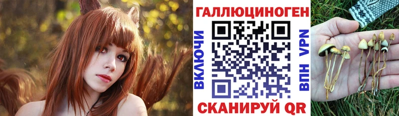 Купить закладки  Нея  Галлюциногенные грибы прущие грибы 