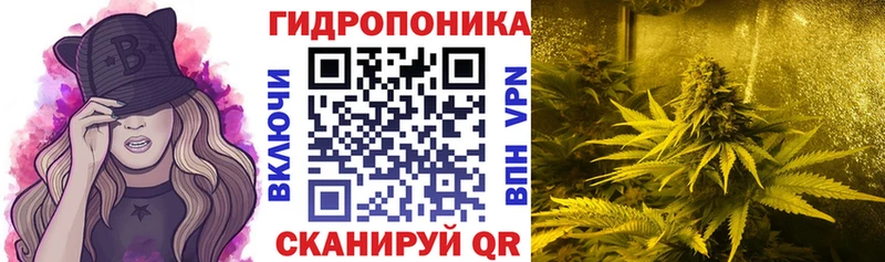 МАРИХУАНА SATIVA & INDICA  Купить закладки  Нея 